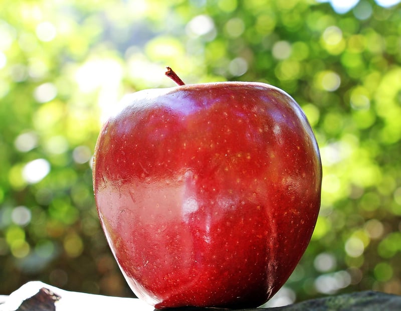 Healthy food